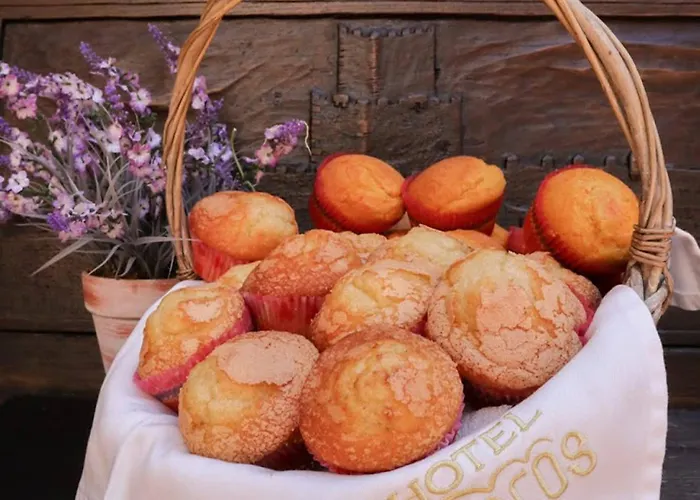 酒店 Arcos Catedral 3*